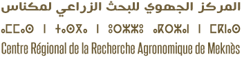 CRRA Meknès
